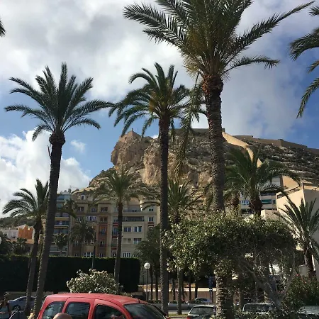 Near The Apartment Alicante