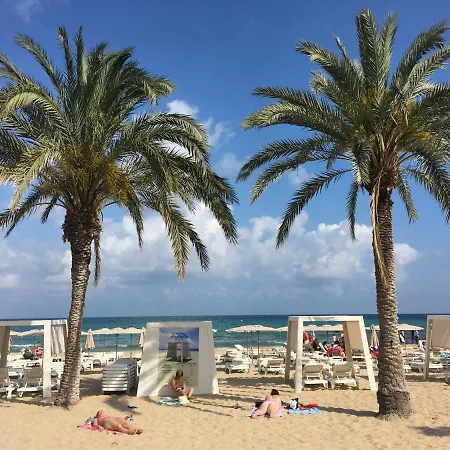 Near The * Alicante
