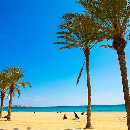 Near The Apartment Alicante