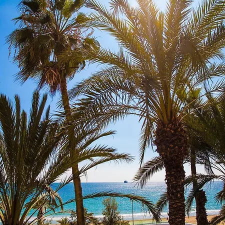 Apartment Near The Alicante